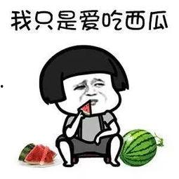 娱乐圈吃瓜表情