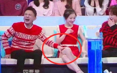 娱乐圈综艺节目吃瓜小说