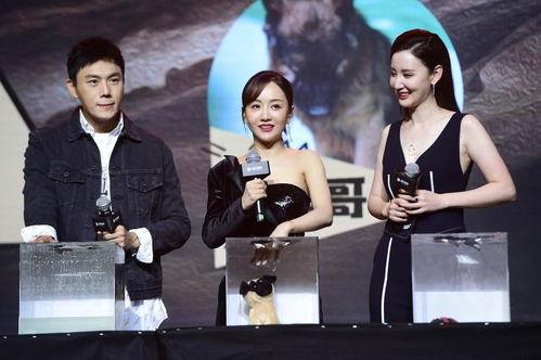 我在娱乐圈靠吃瓜爆红,娱乐圈爆红传奇